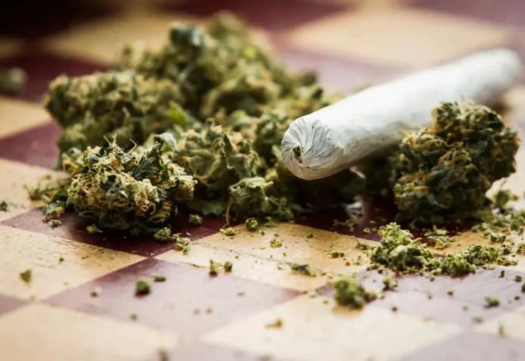 Ilustracija članka: U pretresu kuće u Ljubuškom pronađena marihuana