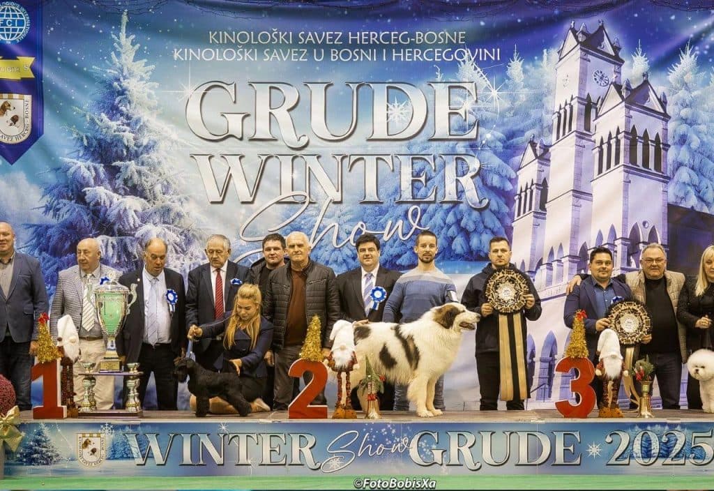 Ilustracija članka: Vrhunski uspjeh hercegovačkih tornjaka: Mateo Crnjac osvojio najvažnije titule u Grudama