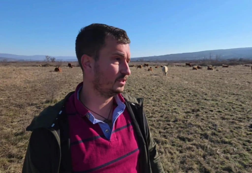 Ilustracija članka: VIDEO | Hercegovačka priča o ostanku: Kako je Franjo u Širokom Brijegu stvorio uspješnu farmu