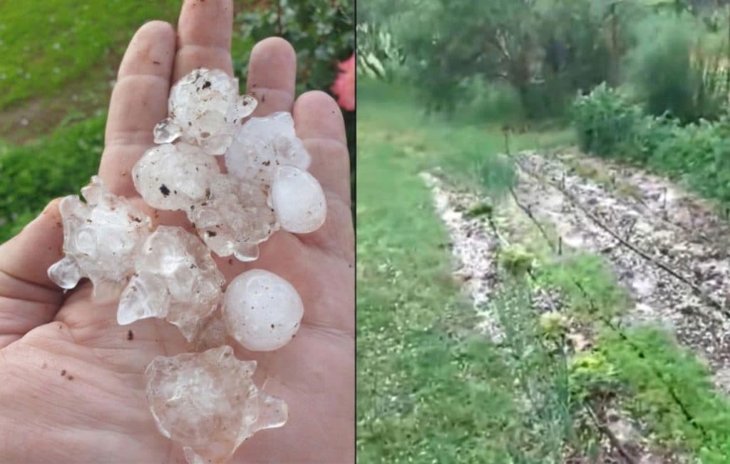 Ilustracija članka: Nevrijeme poharalo Soviće: Tuča nanijela veliku štetu poljoprivred