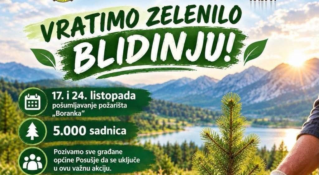 Ilustracija članka: Na Blidinju će biti posađeno pet tisuća sadnica