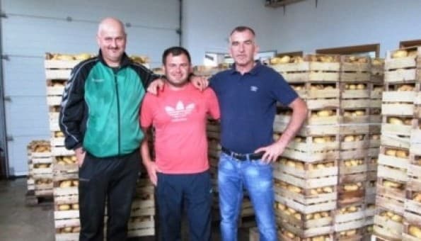 Ilustracija članka: LJUBUŠKI: Rekordan urod krompira, sve se izvozi u EU