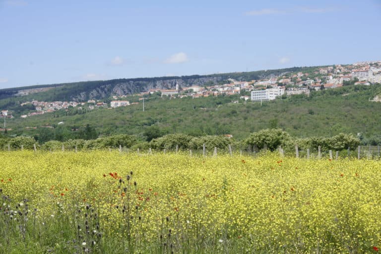 Ilustracija članka: Ozbiljna hidrološka situacija u Imotskoj krajini: Prijeti nedostatak vode za natapanje polja
