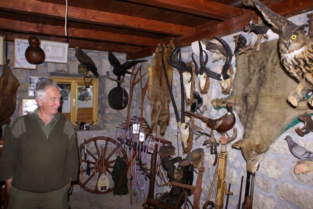 Ilustracija članka: U potrazi za hranom medvjedi se s Biokova spuštaju u Imotsku krajonu