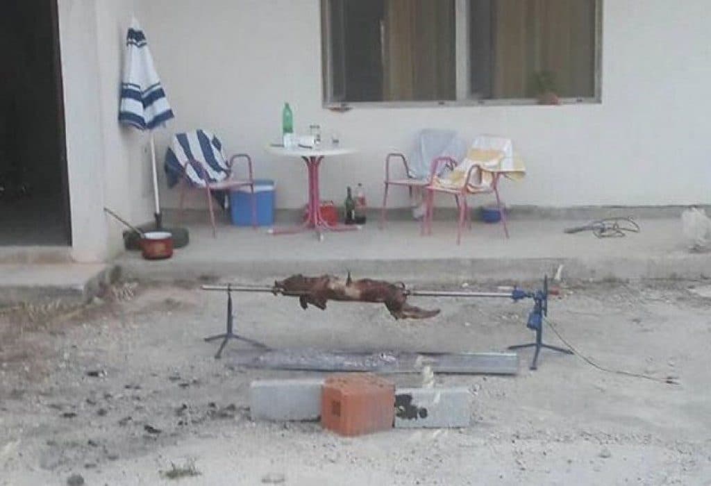 Ilustracija članka: Fotka apartmana nakon iznajmljivanja gostima iz BiH mnoge je naljutila