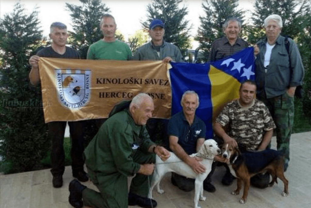 Ilustracija članka: Pas Ari – Ben Dalibora Pezera iz Gruda europski prvak