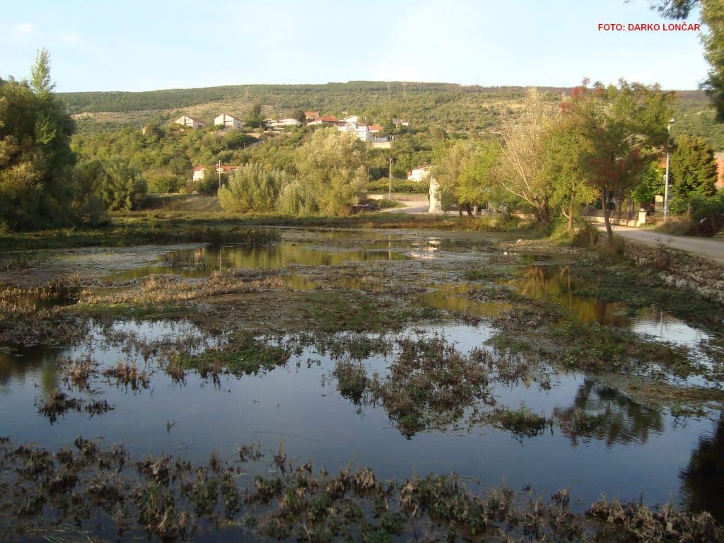 Ilustracija članka: Vrljika se polako vraća