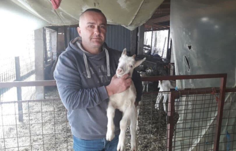 Ilustracija članka: Gruđani i Rakićak prepoznali potencijal u bavljenju kozlarstvom