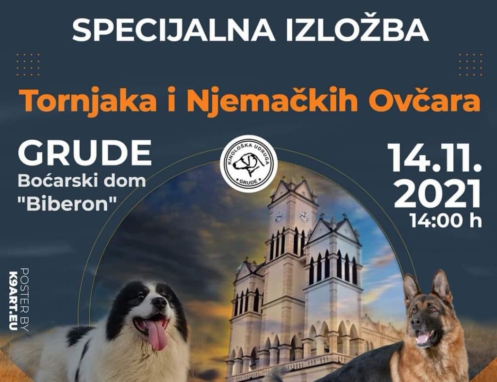 Ilustracija članka: Specijalna izložba tornjaka i njemačkih ovčara u Grudama