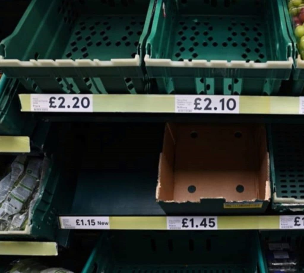 Ilustracija članka: Šef vodećeg proizvođača gnojiva najavio krizu u opskrbi hranom: “Ovo je zastrašujuće”