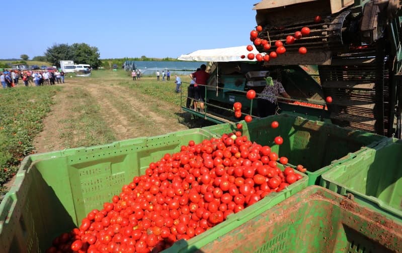 Ilustracija članka: Hercegovina dobiva tri tvornice za proizvodnju hrane koju će izvoziti u zemlje Europske unije