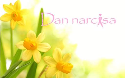 Ilustracija članka: ”Dani narcisa” u ŽZH