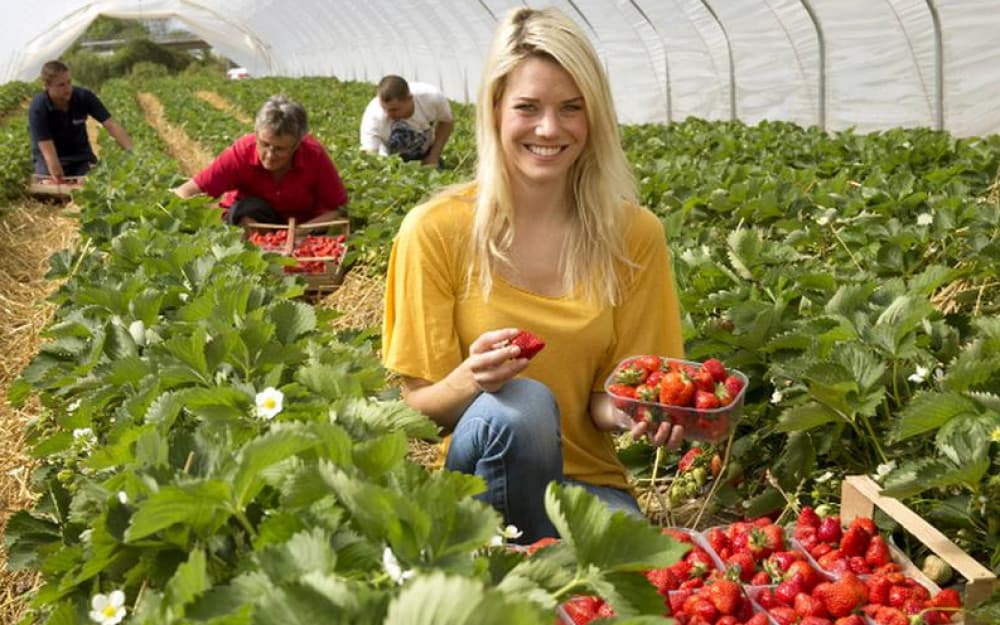 Ilustracija članka: U Švicarsku nakon olakšanja uvjeta idu i sezonci iz BiH, zarade i do 3000 eura mjesečno