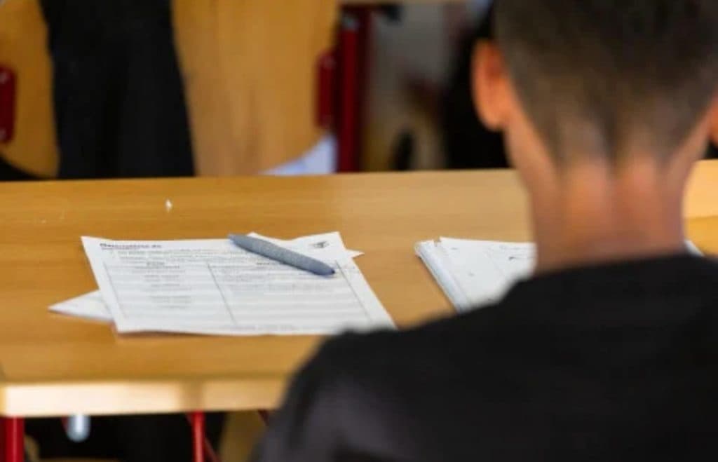 Ilustracija članka: Domaća zadaća imotskog osnovca postala je teški hit!