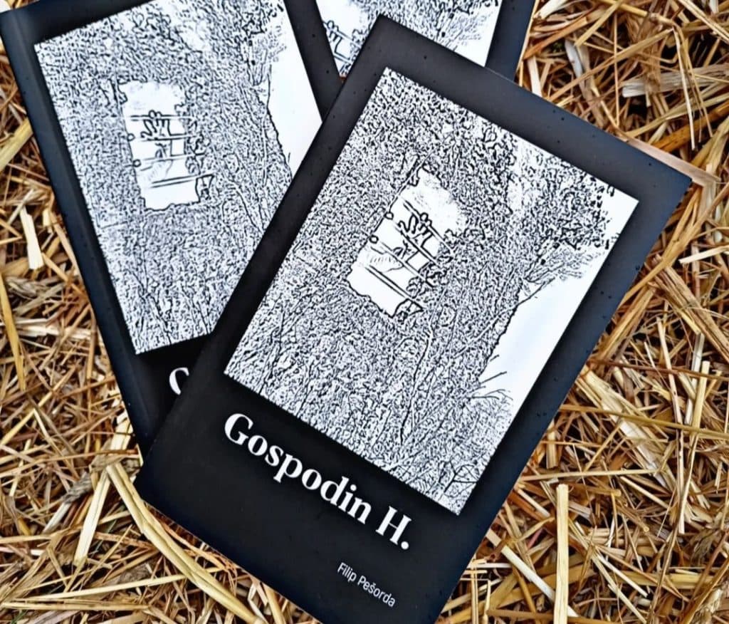 Ilustracija članka: Iz tiska izišao drugi roman mladog književnika Filipa Pešorde iz Gruda