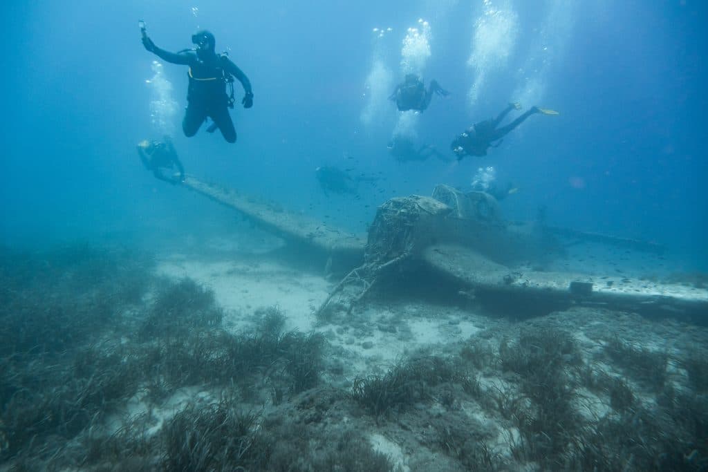 Ilustracija članka: Otkrijte podvodni svijet s ronilačkim klubom SEUH!