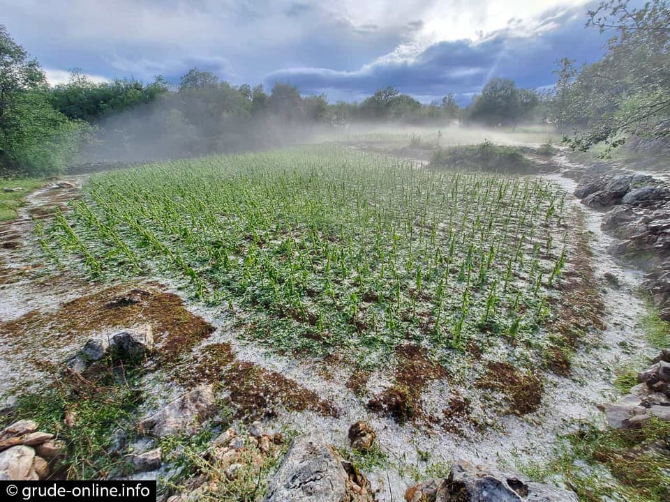 Ilustracija članka: CK ŽZH: 25.000 KM pomoći za socijalno ugrožene na području Širokog Brijega i Gruda kao odgovor na lipanjsku prirodnu nesreću