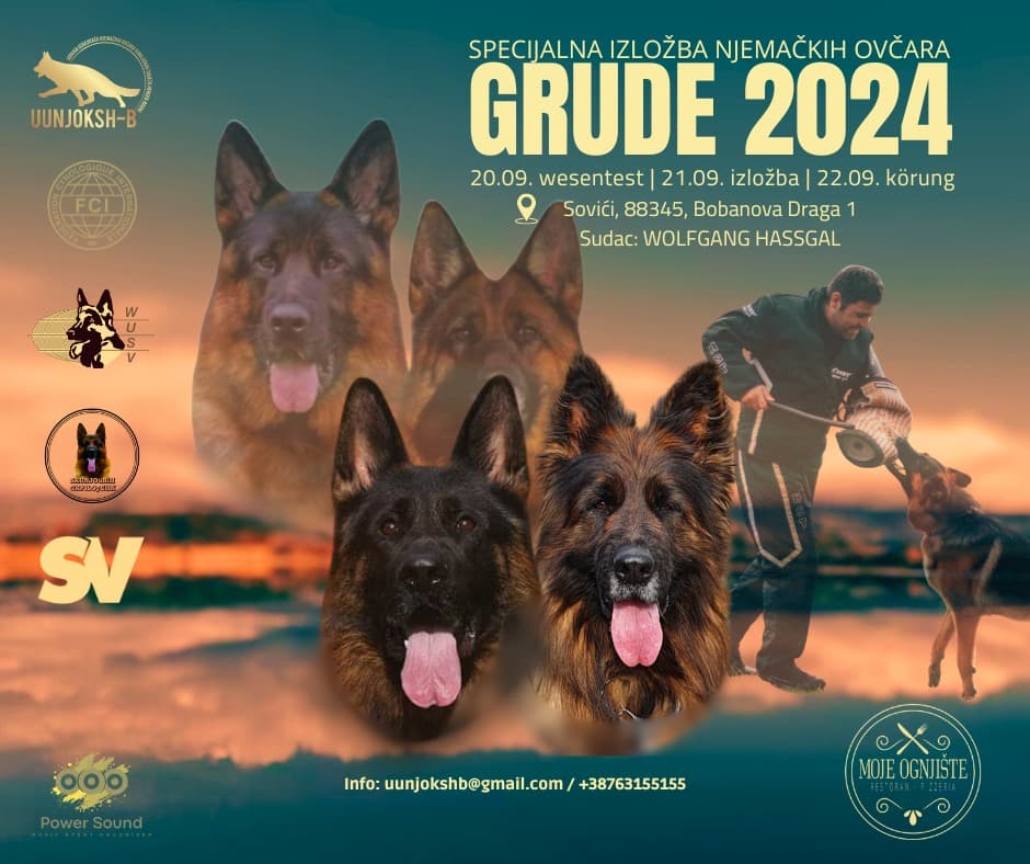 Ilustracija članka: NAJAVA: Specijalna izložba njemačkih ovčara Grude 2024.