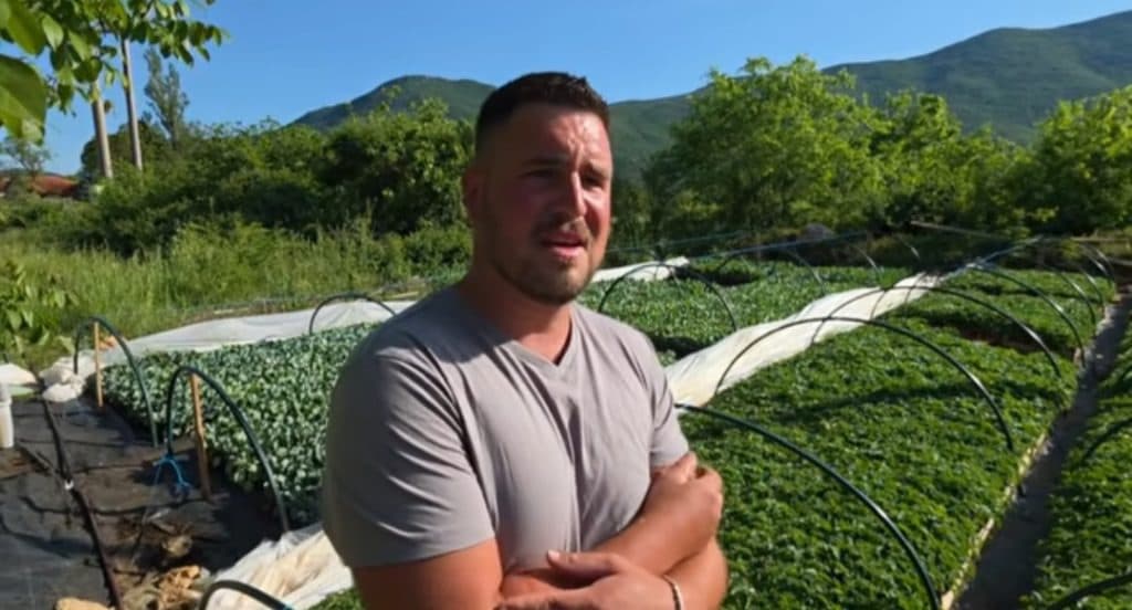 Ilustracija članka: Odbio Njemačku i Ameriku, ostao u Tihaljini i izgradio posao sa 150000 sadnica