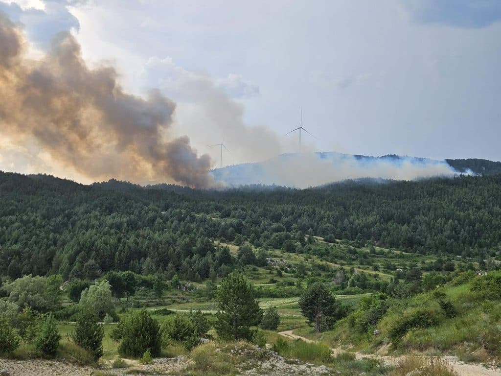 Ilustracija članka: Veliki požar na brdu Oštrc kod Posušja