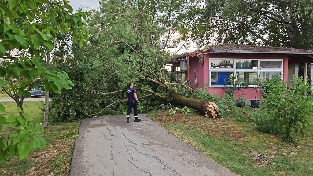 Ilustracija članka: Nevrijeme u Drinovcima: Stablo palo na ugostiteljski objekt, pričinjena velika materijalna šteta