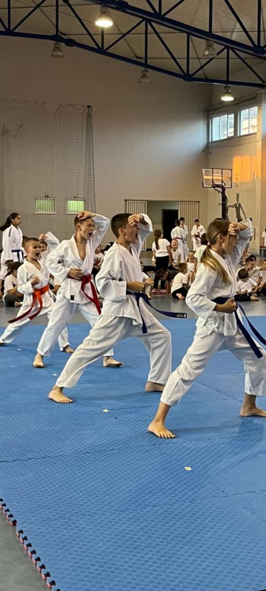 U Grudama održano polaganje za karate pojaseve: Svi kandidati uspješno položili U Grudama održano polaganje za karate pojaseve: Svi kandidati uspješno položili